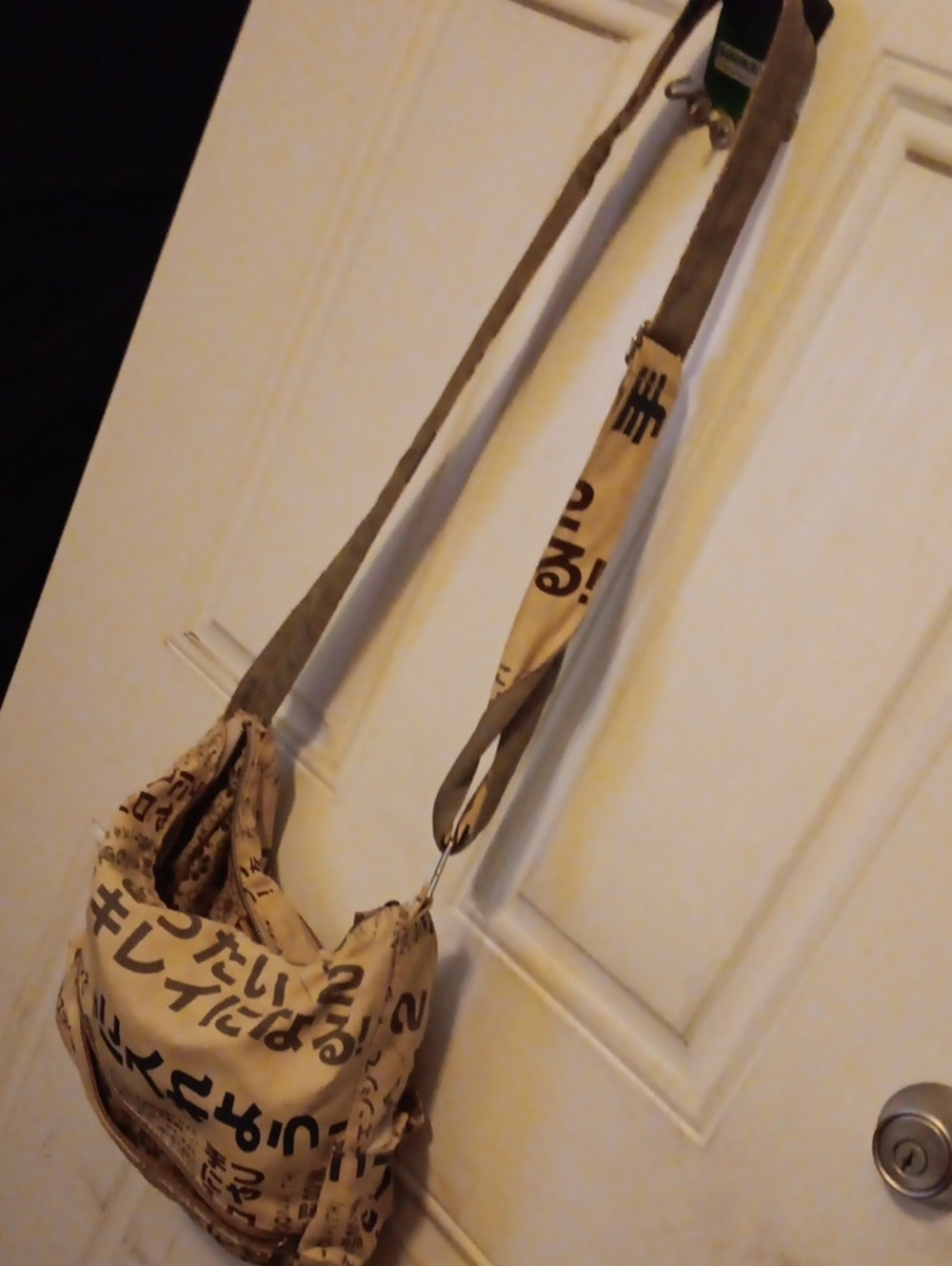 Canvas Crossbody Bag with Graphic Asian Print - Beige